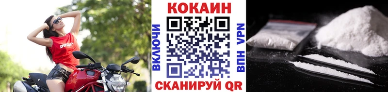 Виды наркотиков купить Торопец Амфетамин  МЕФ  ГАШИШ  Cocaine 