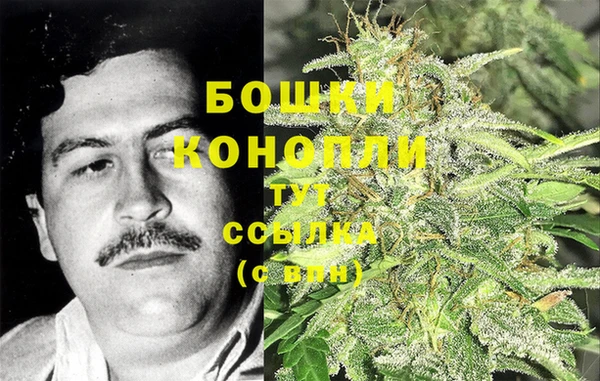 дмт Мегион