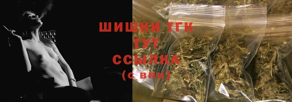 индика Абаза