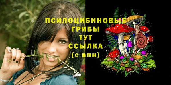 ешки Абинск