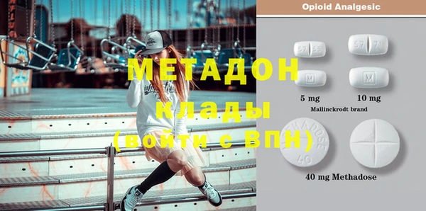 индика Абаза