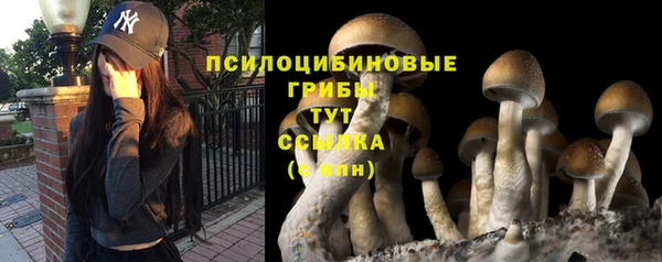 apvp Абдулино