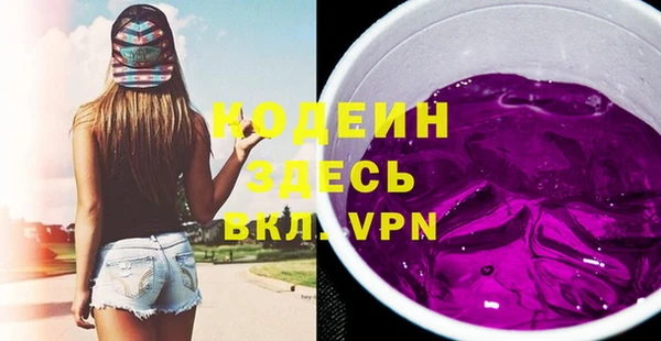 индика Абаза