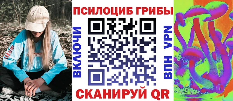 Псилоцибиновые грибы прущие грибы  где купить   Торопец 